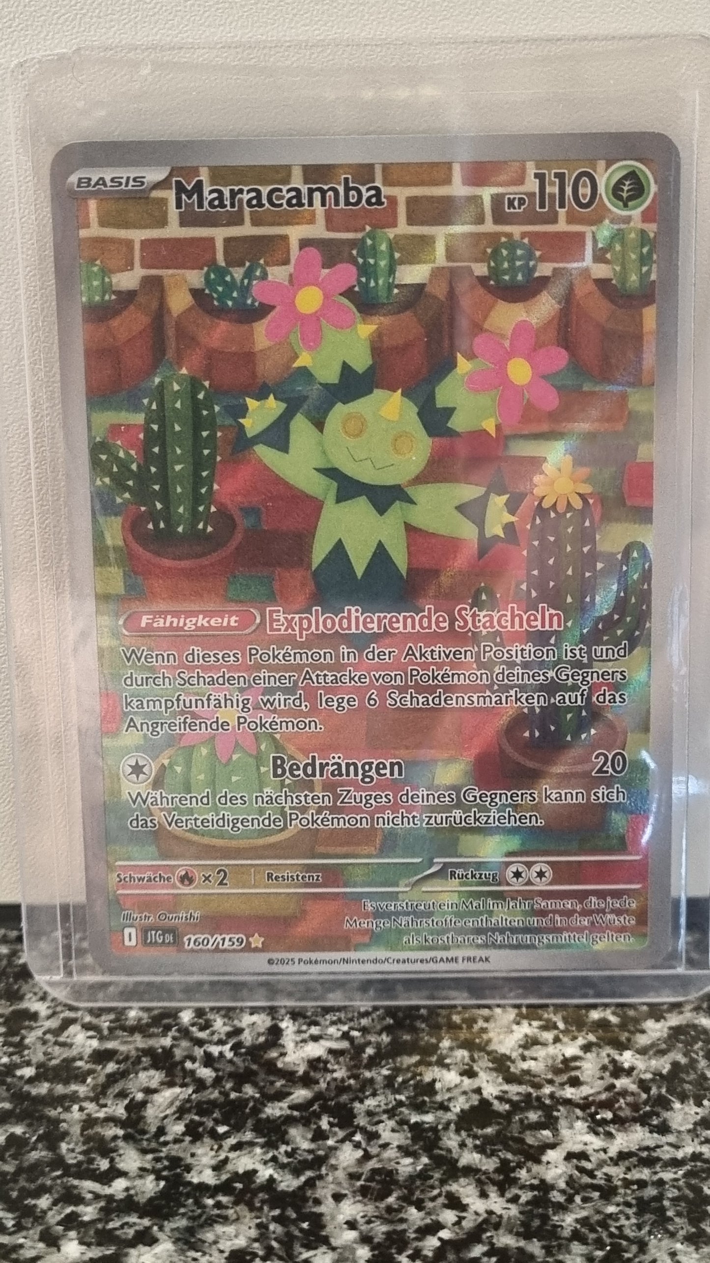 Maracamba (Journey Together #160) 🇨🇭🇩🇪 (Alt)