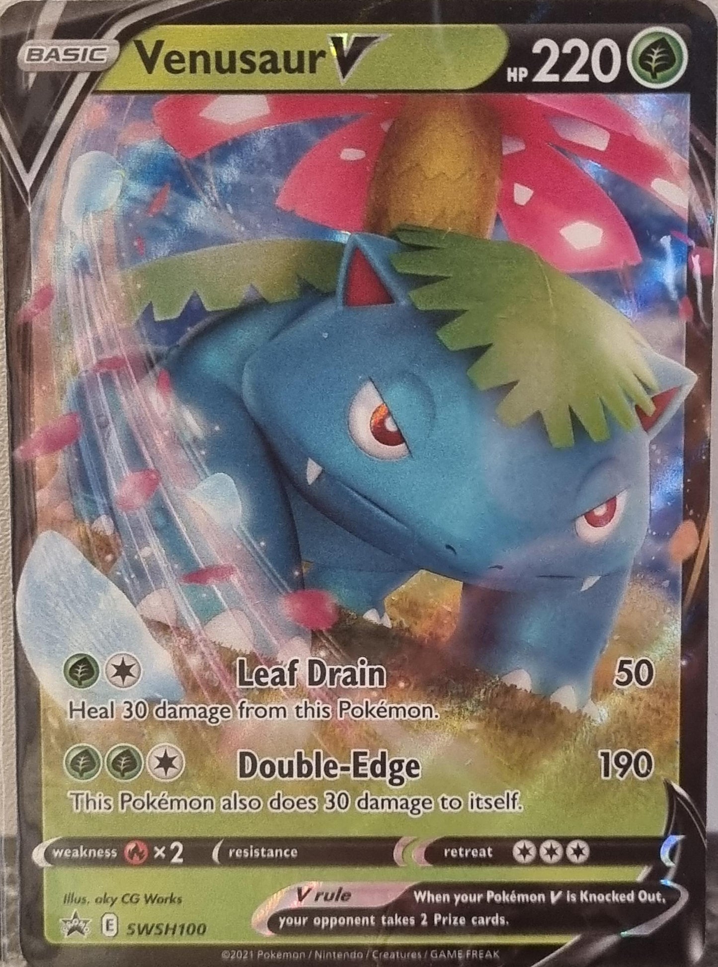 Venusaur V - SWSH Black Star Promos (Promo) [SWSH-100]