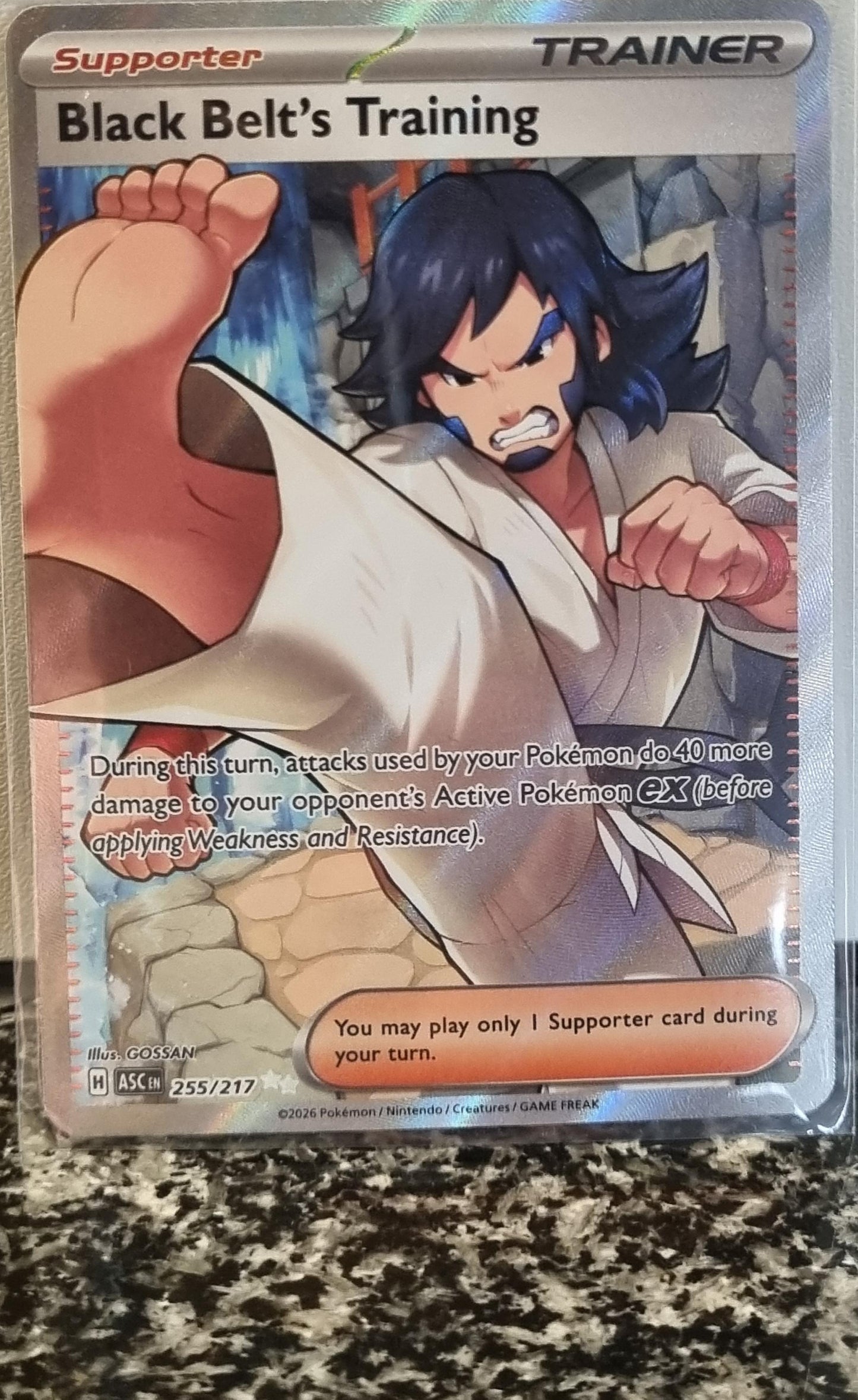 Black Belt's Training - Ascended Heroes (Ultra Rare) [ASC-255]