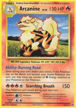 Arcanine - Evolutions (Rare) [EVO-18]