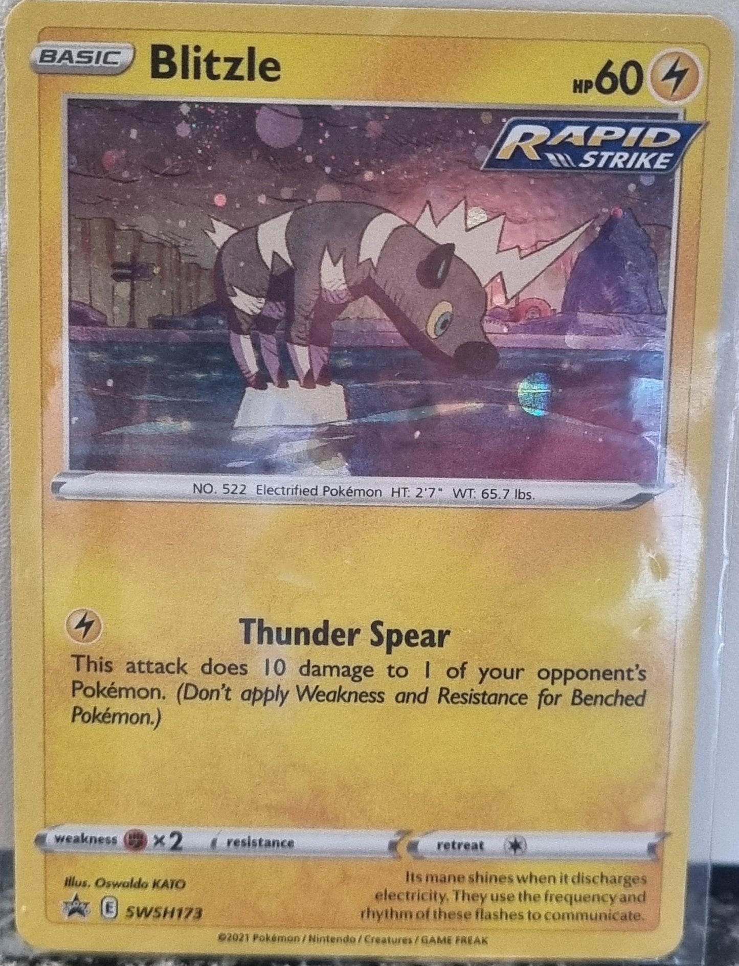 Blitzle - SWSH Black Star Promos (Promo) [SWSH-173]