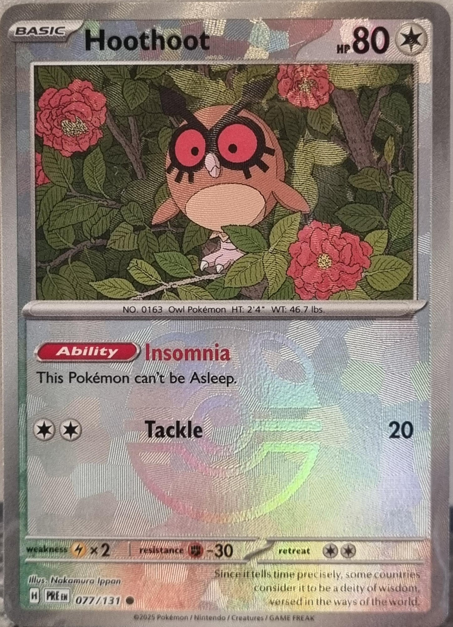 Hoothoot - Prismatic Evolutions: Additionals (Common) [xPRE-077]