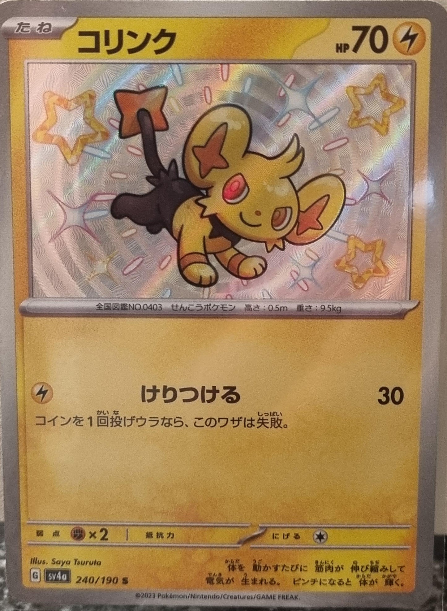 Shinx - Shiny Treasure ex (Holo Rare) [sv4a-240]