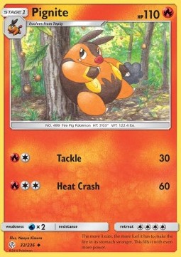 Pignite - Cosmic Eclipse (Uncommon) [CEC-32]