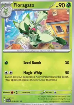 Floragato - Paldea Evolved (Uncommon) [PAL-014]