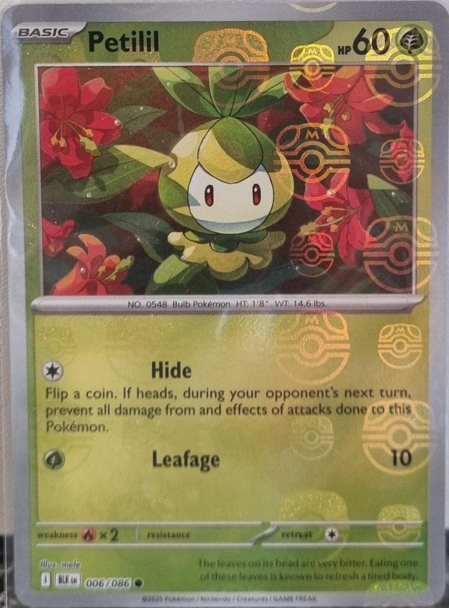 Petilil - Black Bolt: Additionals (Common) [xBLK-006]