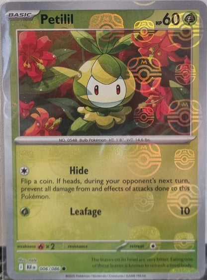 Petilil - Black Bolt: Additionals (Common) [xBLK-006]