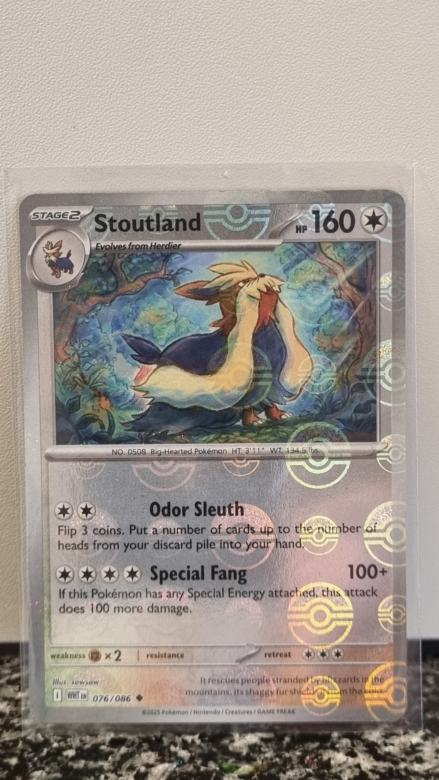 Stoutland (Pokeball) (White Flare #76) 🇺🇸 (Alt)