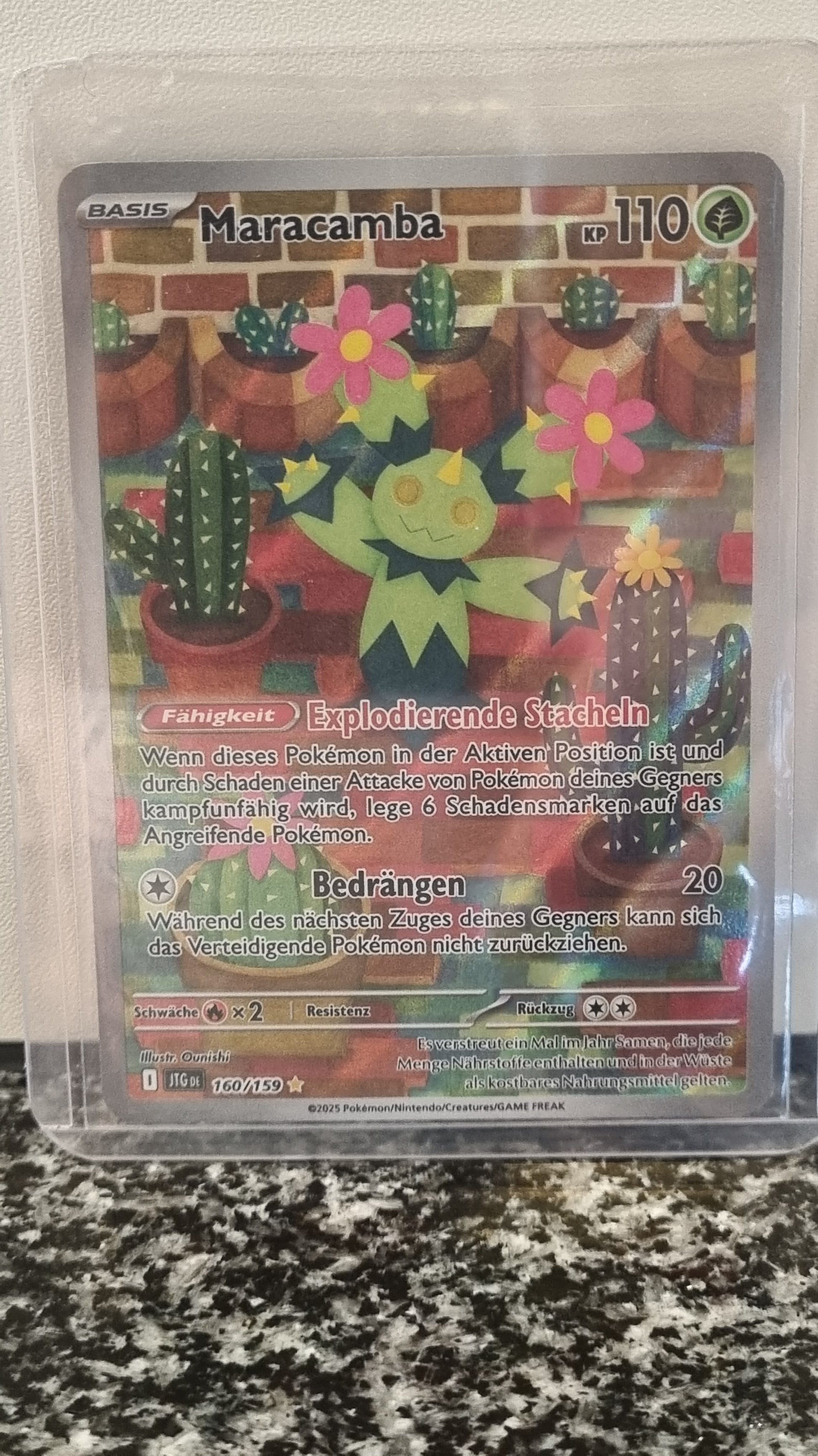 Maracamba (Journey Together #160) 🇨🇭🇩🇪 (Alt)