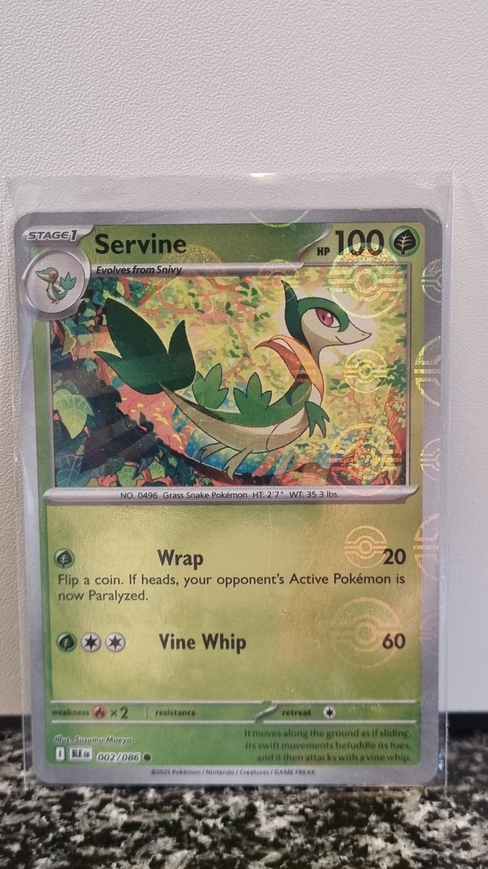 Servine (Pokeball) (Black Bolt #2) 🇺🇸 (Alt)