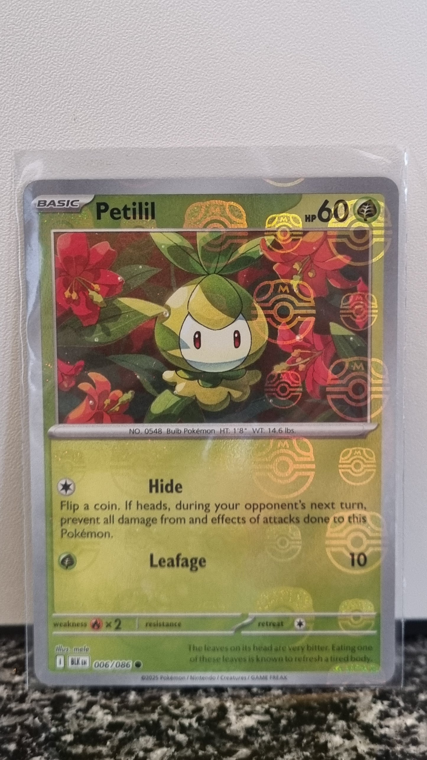 Petilil (Masterball) (Black Bolt #6) 🇺🇸 (Alt)