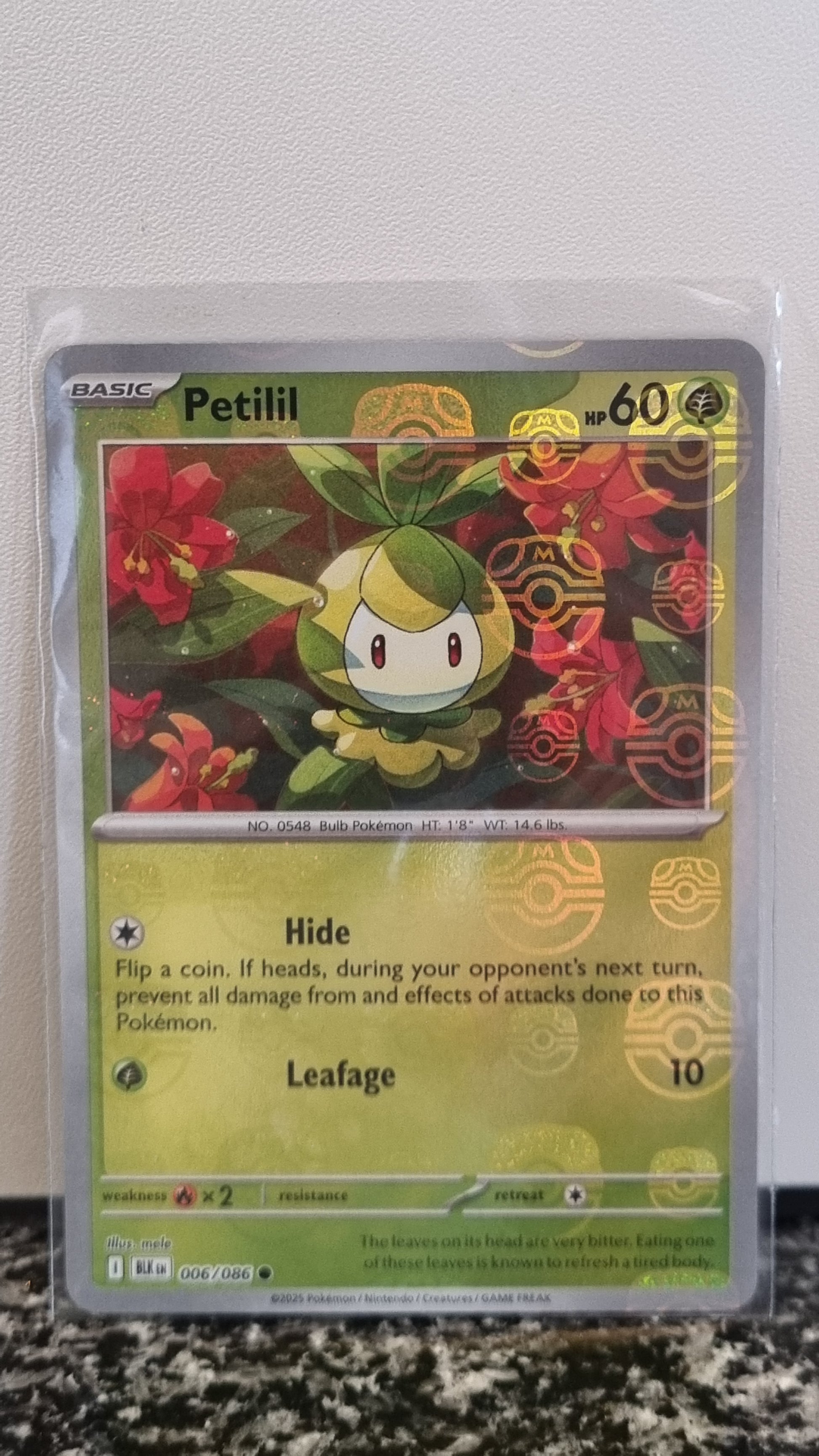 Petilil (Masterball) (Black Bolt #6) 🇺🇸 (Alt)