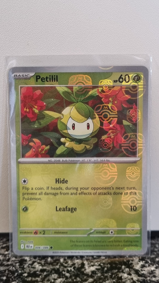 Petilil (Masterball) (Black Bolt #6) 🇺🇸 (Alt)