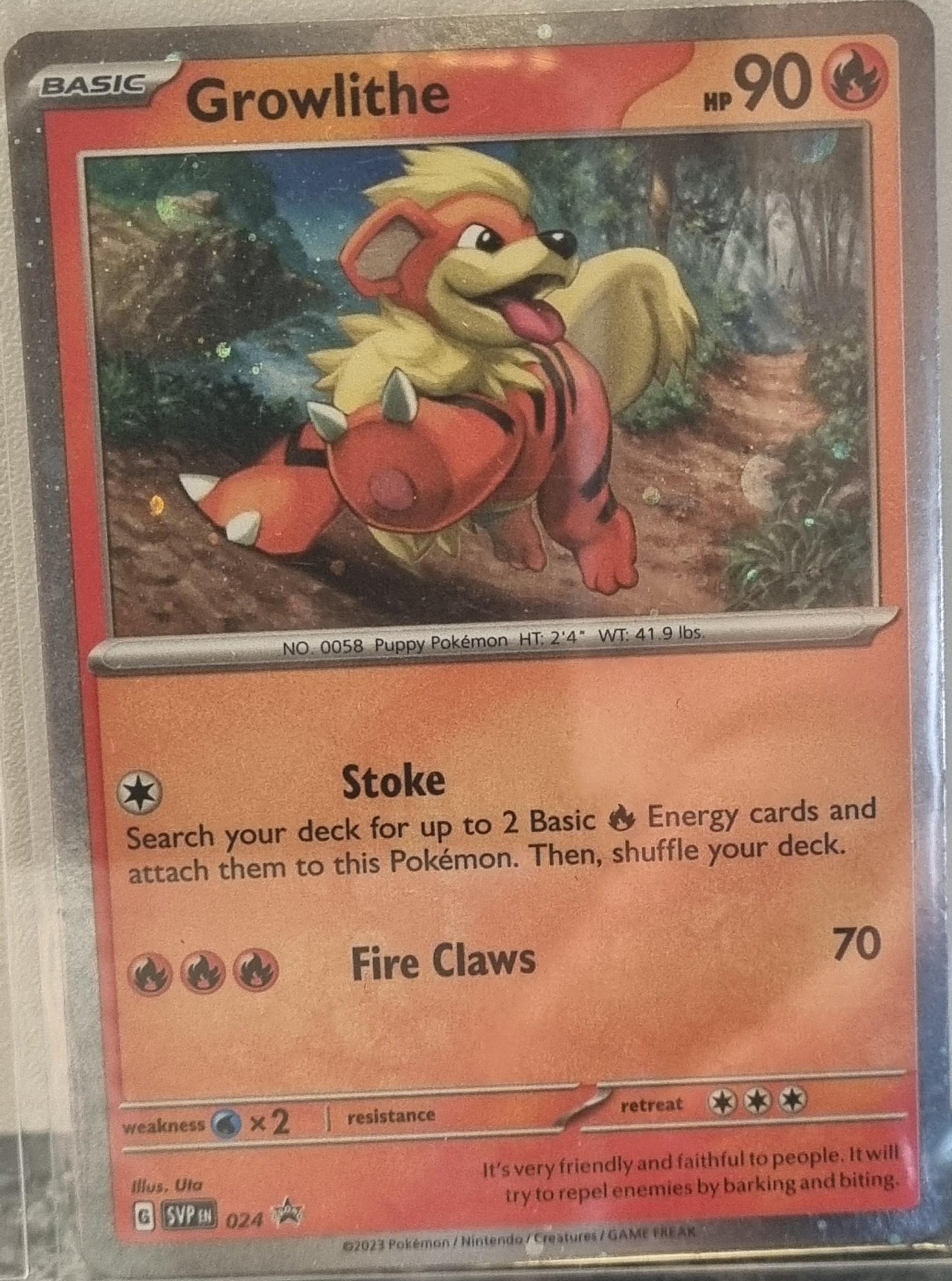 Growlithe - SV Black Star Promos (Promo) [SVP-024]