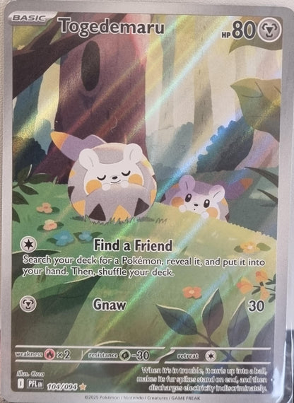 Togedemaru - Phantasmal Flames (Illustration Rare) [PFL-104]