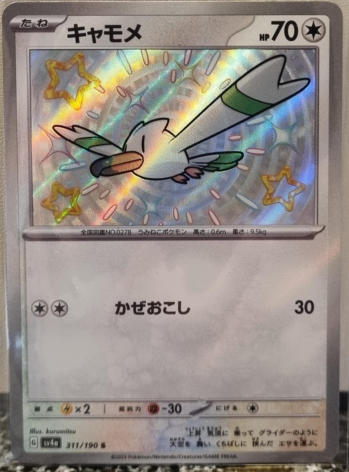 Wingull - Shiny Treasure ex (Holo Rare) [sv4a-311]