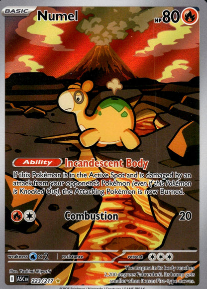 Numel - Ascended Heroes (Illustration Rare) [ASC-223]