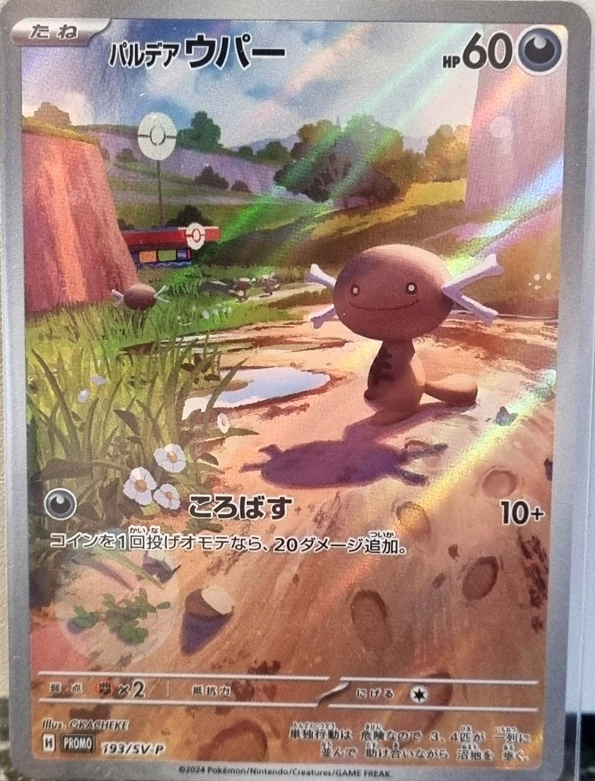 Paldean Wooper - Scarlet & Violet Promos (Promo) [SV-P-193]