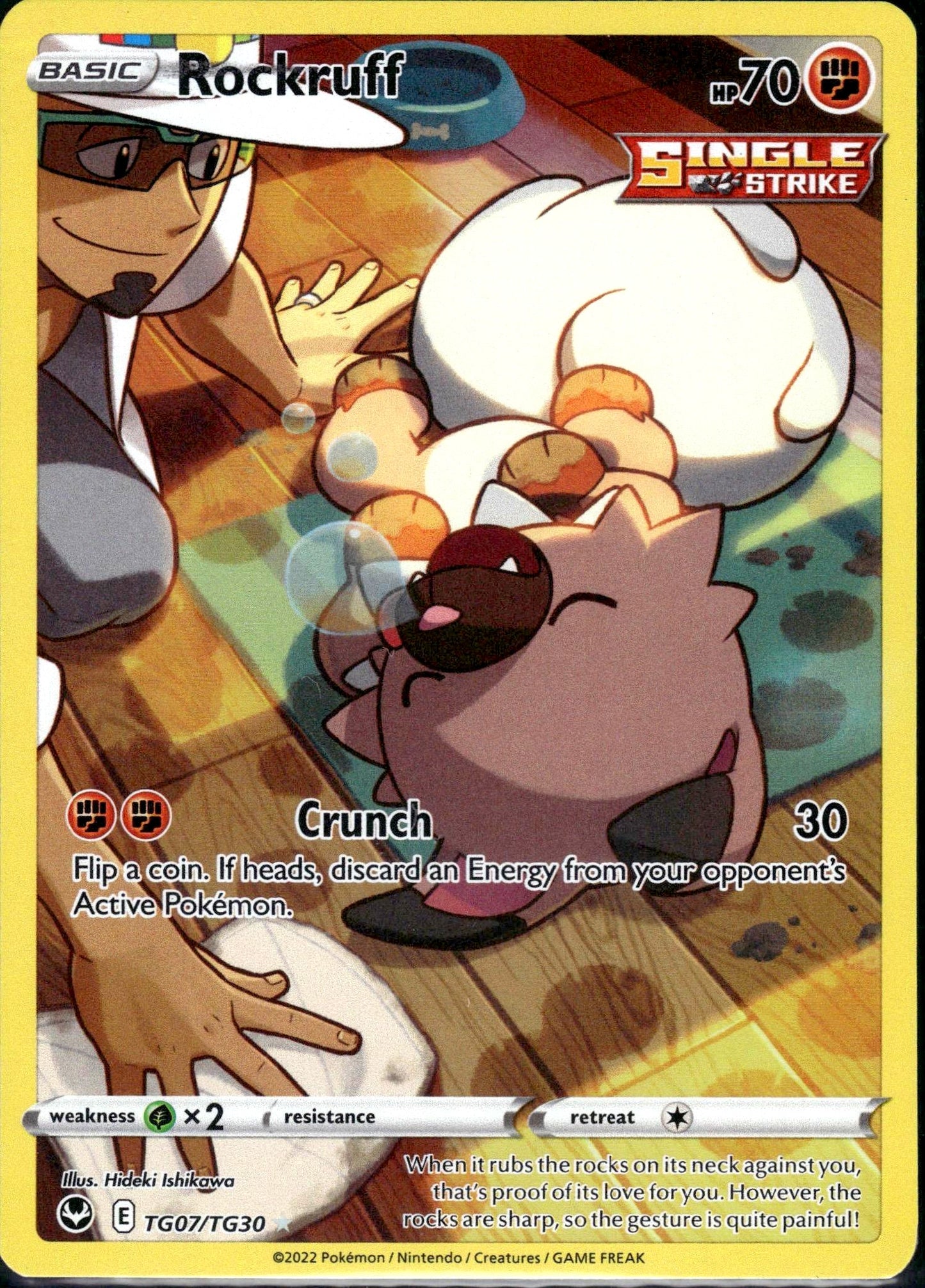 Rockruff - Silver Tempest (Holo Rare) [SIT-TG07]